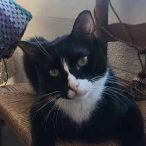 Meet your Posher, Darlene